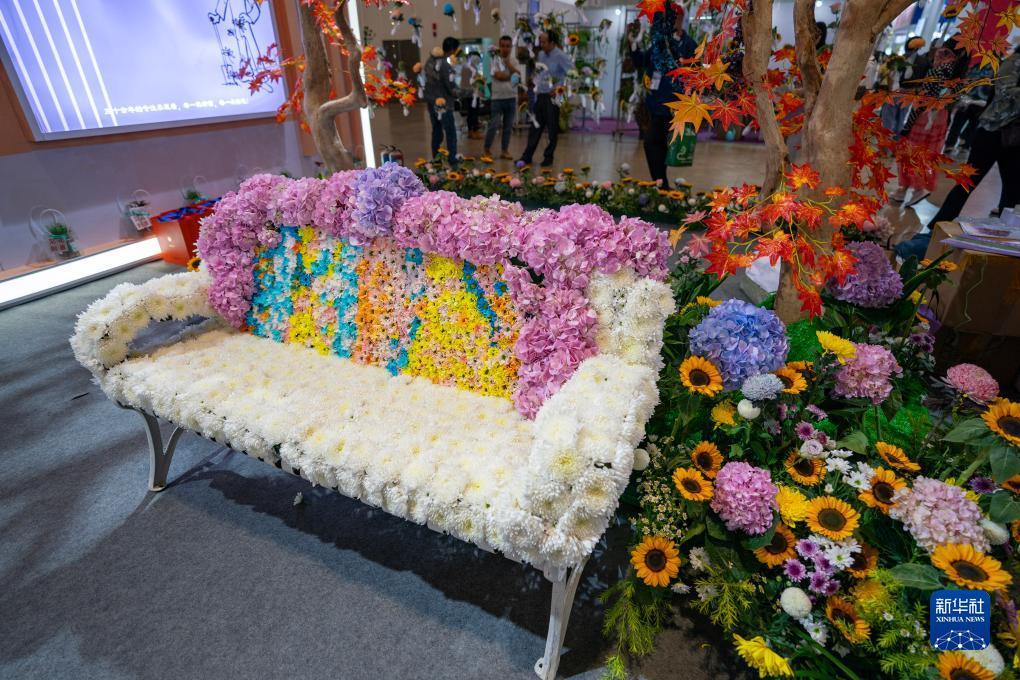 菠菜导航总站